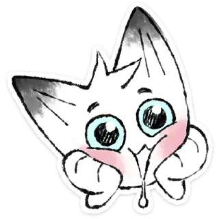 🐱