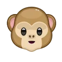 🐵