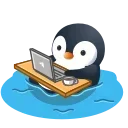 💻