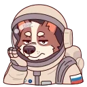⭐