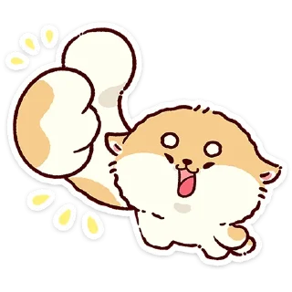 🌟