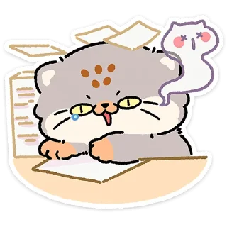 😼