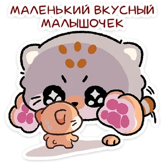 😼