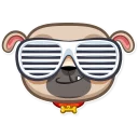 😎