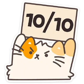 🐱