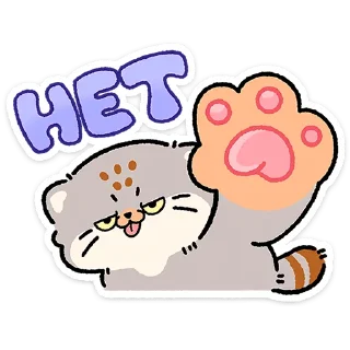 😼