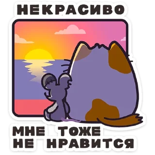 🐱
