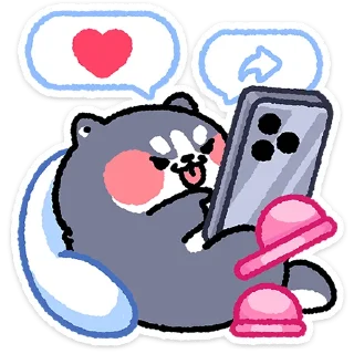 ✨