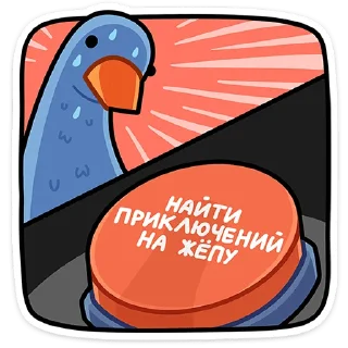 ⭐