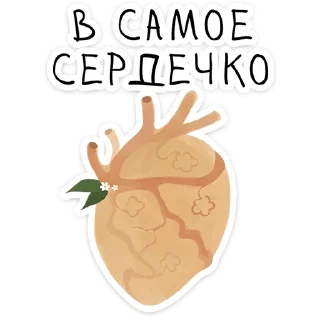⭐