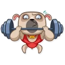 💪
