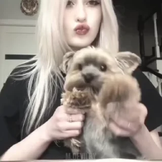 🌟