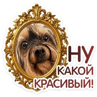⭐