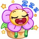 😴