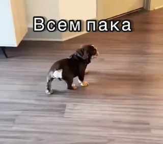 😉