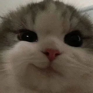 😏