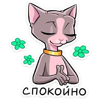 😼