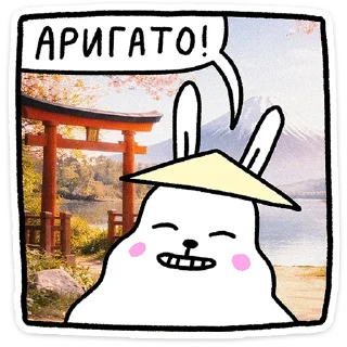 🐰