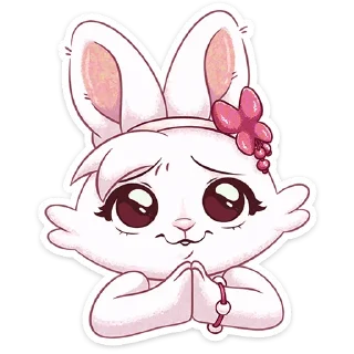 🐰