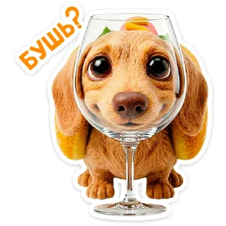 🐶