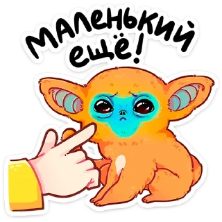 ⭐