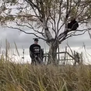 🌟
