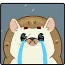 😭