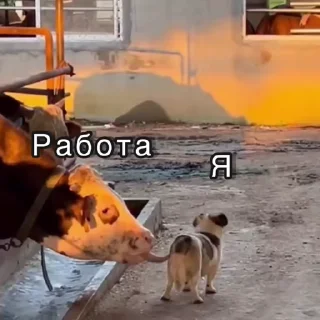 😡