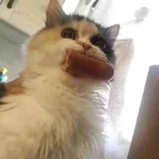 🥣
