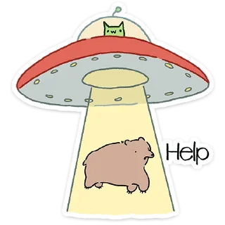 🐻