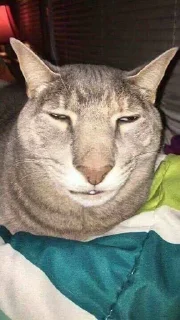 😶