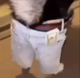 🐶