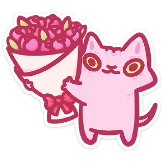 🐱