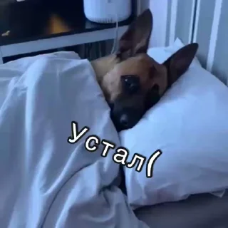 ☹️