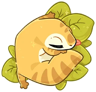 💤
