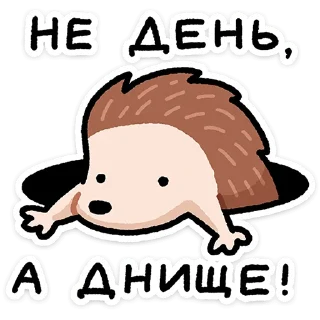 🦔