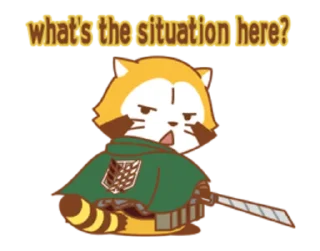 ❓