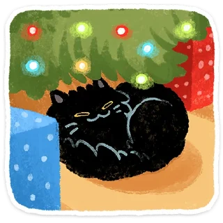 💤