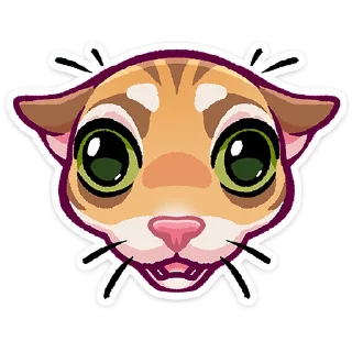 🐱