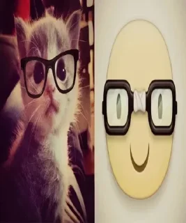 😺