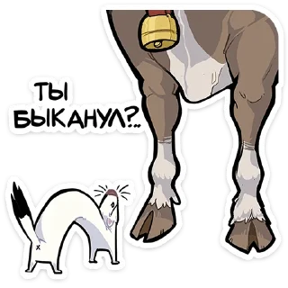 🤨