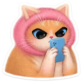 🐱