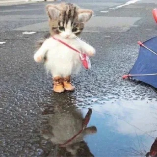 💦