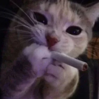 🚬