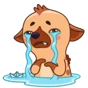 🤧