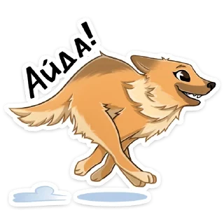 ⭐