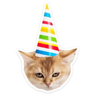 🐱