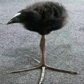 😎