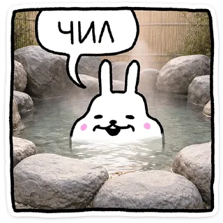 🐰