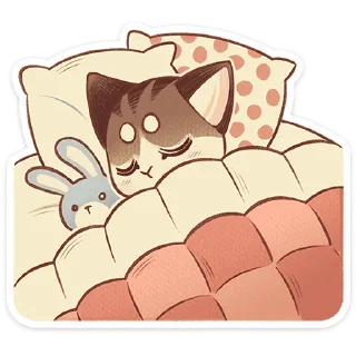 💤